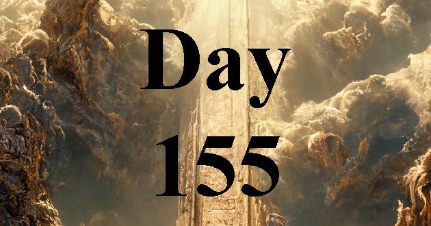 Day 155