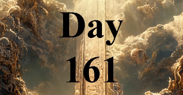Day 161