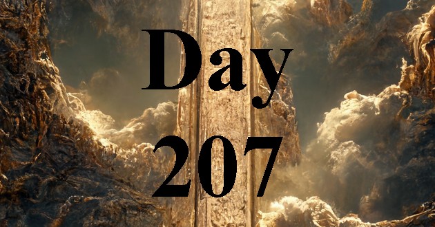 Day 207