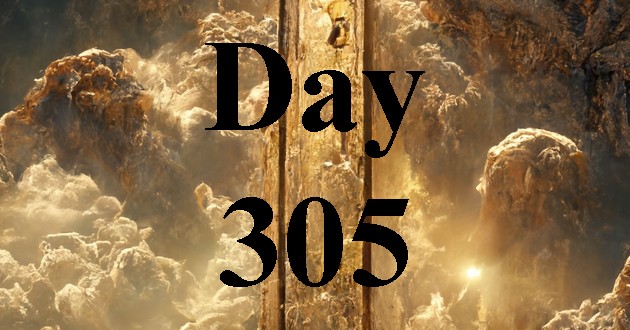 Day 305