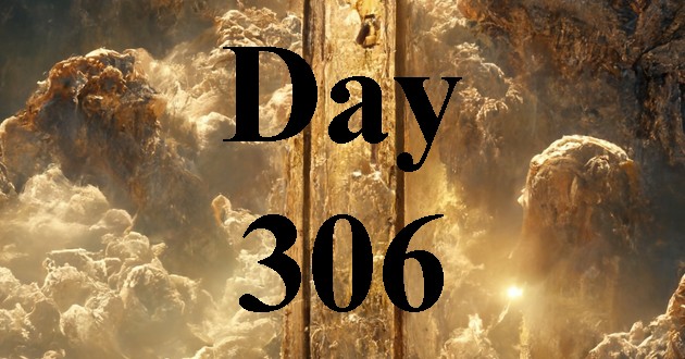 Day 306