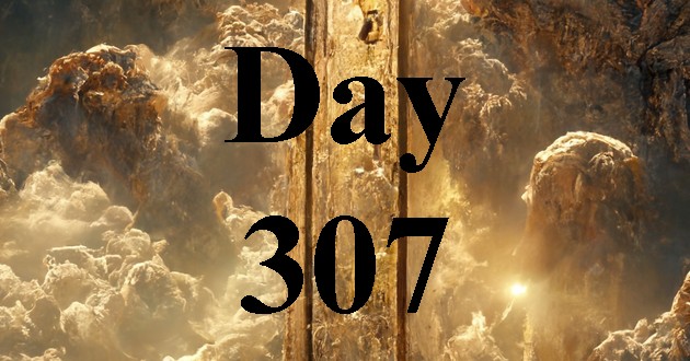 Day 307