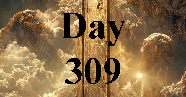 Day 309