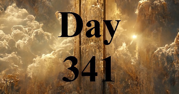 Day 341