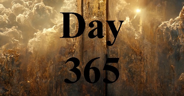 Day 365